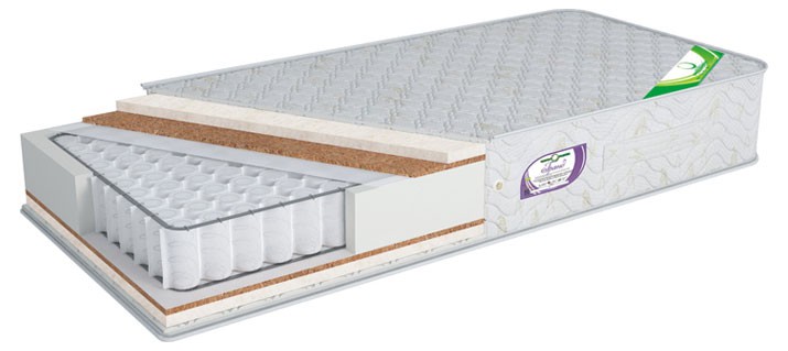 Гранд холло плюс