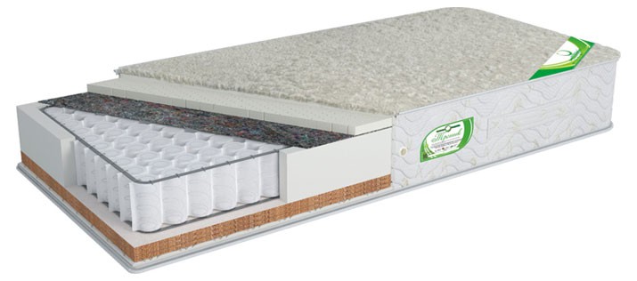 Тебет Сезон